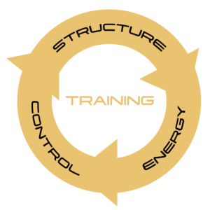 Golden Fist ™ Gear Official Logo (S.E.C.T.) - Structure/Energy/Control/Training