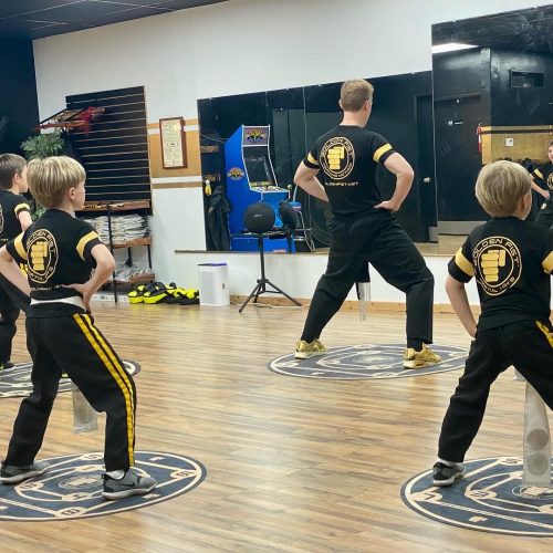 Golden Fist Martial Arts for Kids - Sifu Jonny Blu and Students