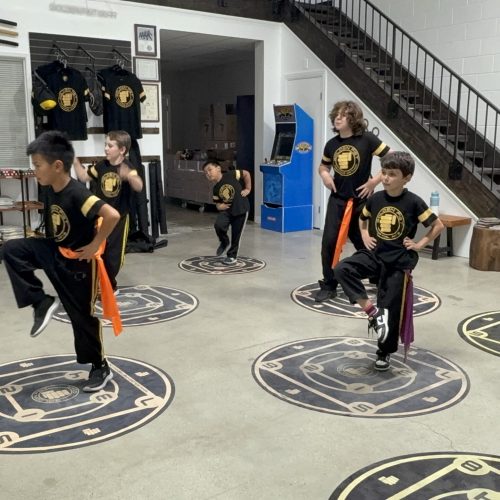 Golden Fist Martial Arts for Kids (Kung Fu + Kenpo Karate) - Sifu Jonny Blu and Students